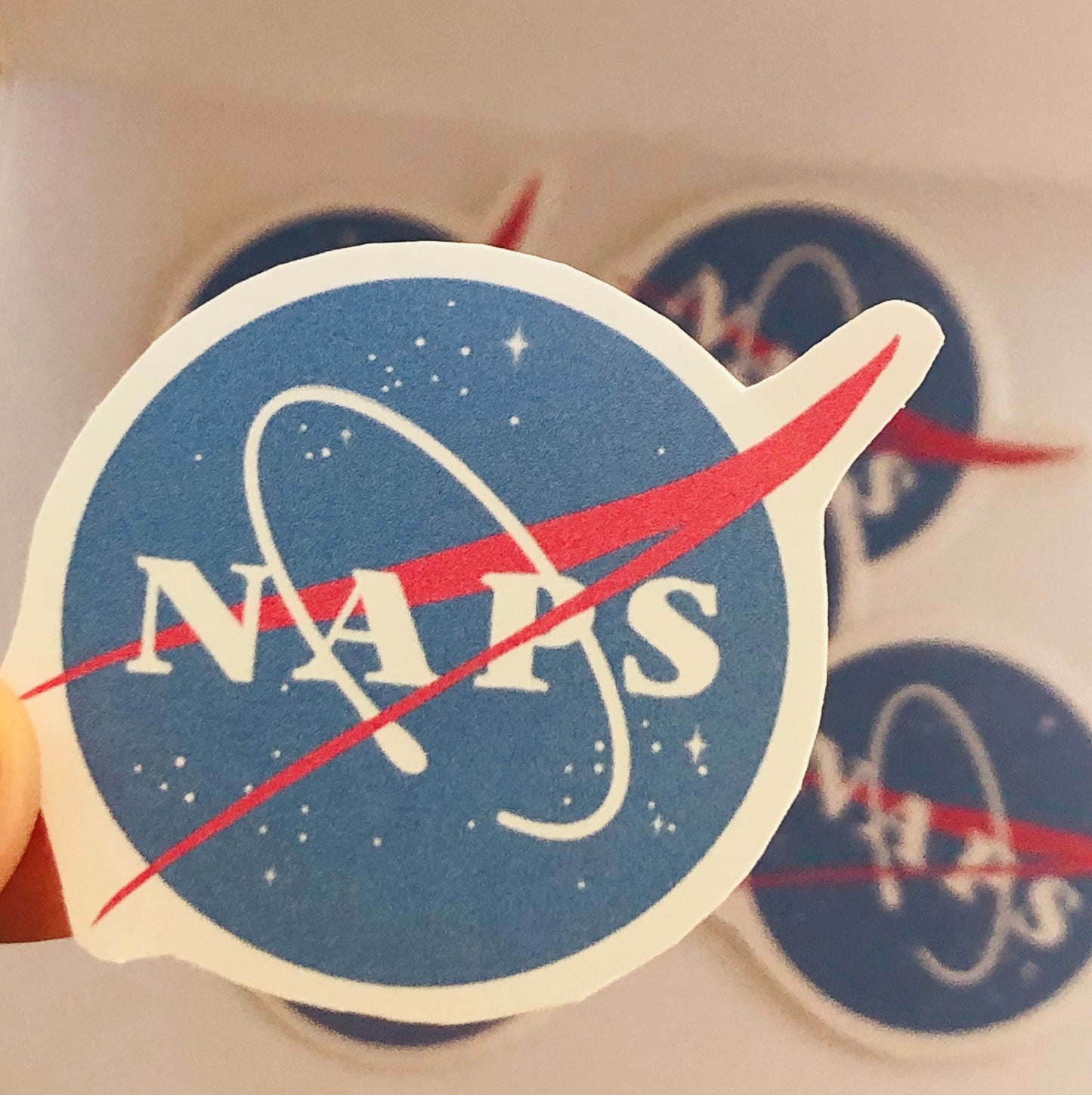 NAPS -NASA Parody Logo